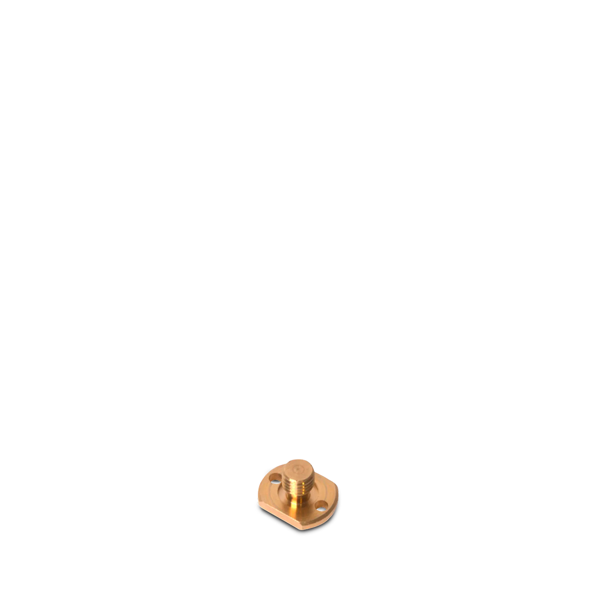 737270_Brass_Screw_1