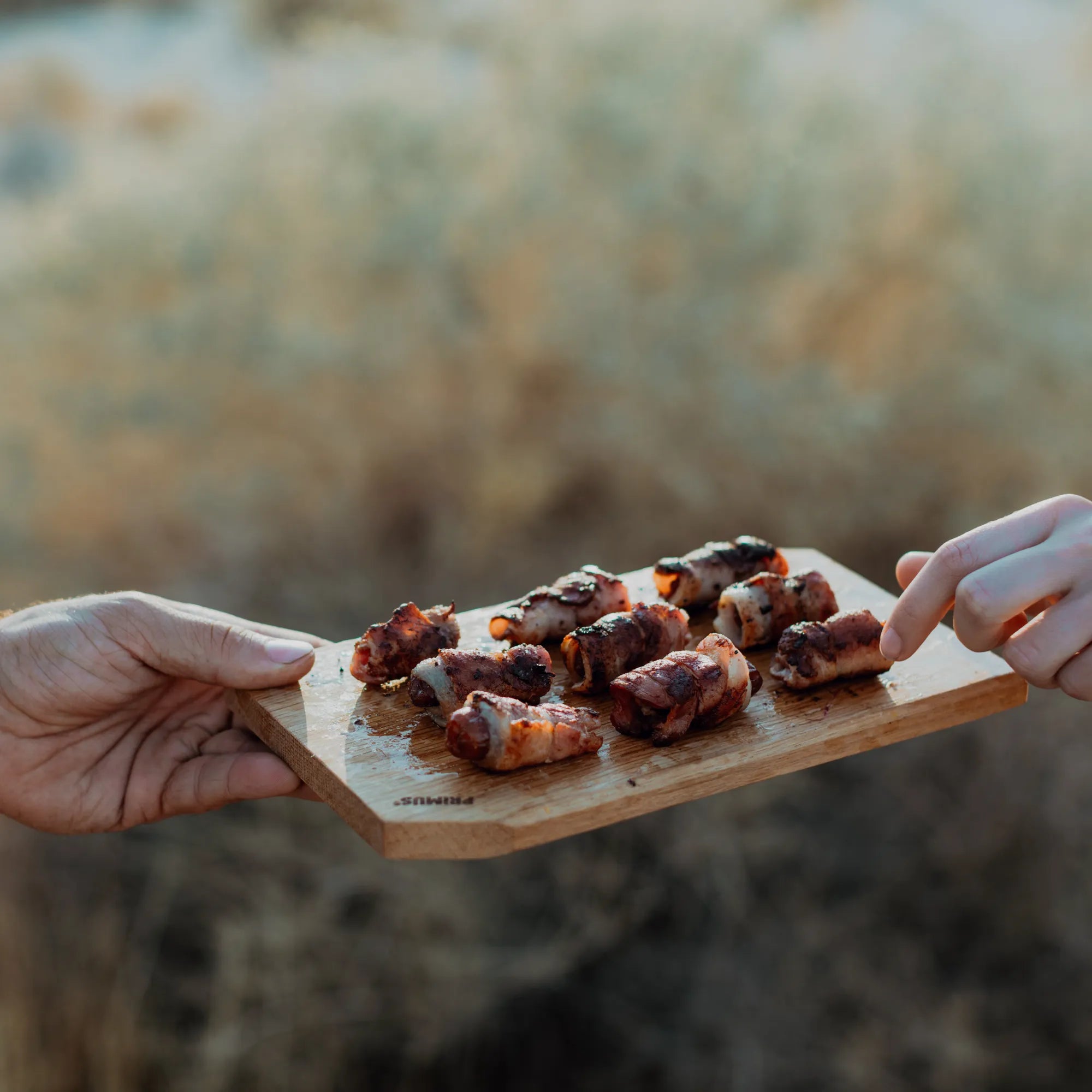 P738006_CampfireCuttingSet_PeterAmend_099_2020