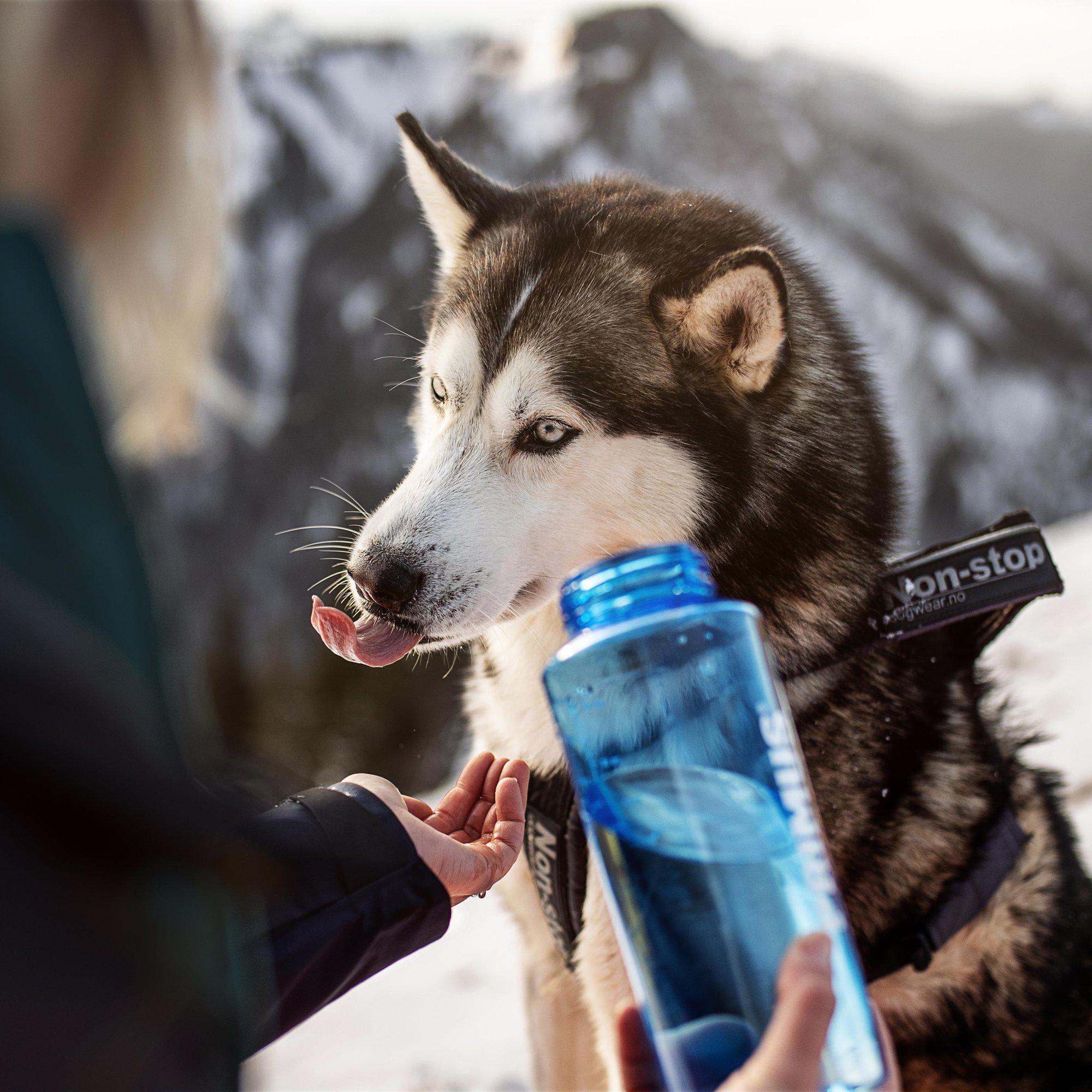P740110_trailbottle-tritan_helge_röske_2021-01-lifestyleImages
