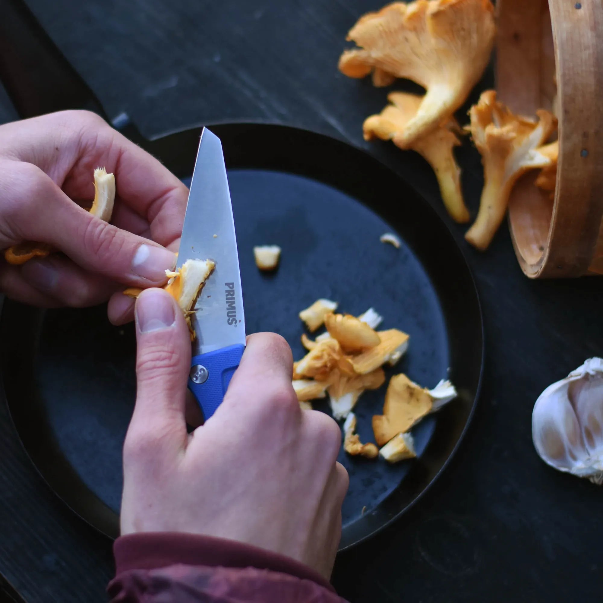 P740460_fieldchef-knife_@evelinaholmbergfoto_2019-01