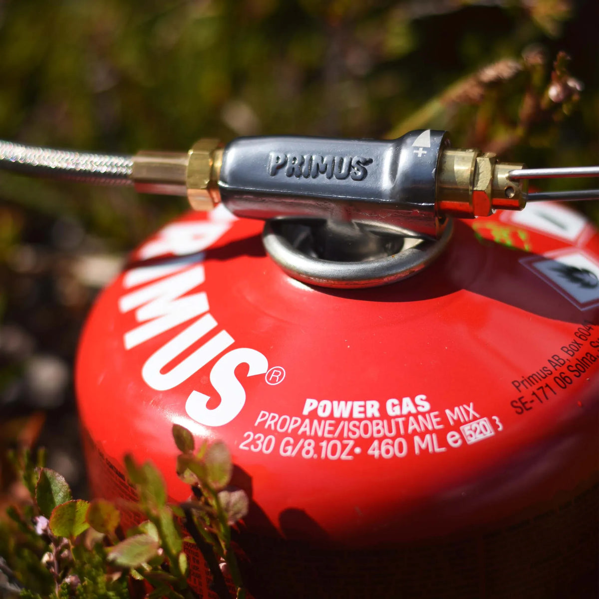 P220761_powergas__evelina-