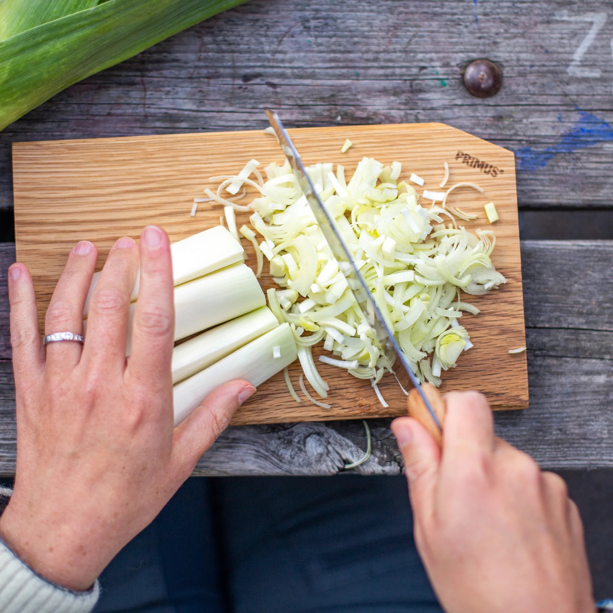 P738006_cutting-set_stina-hjelm_2019-06