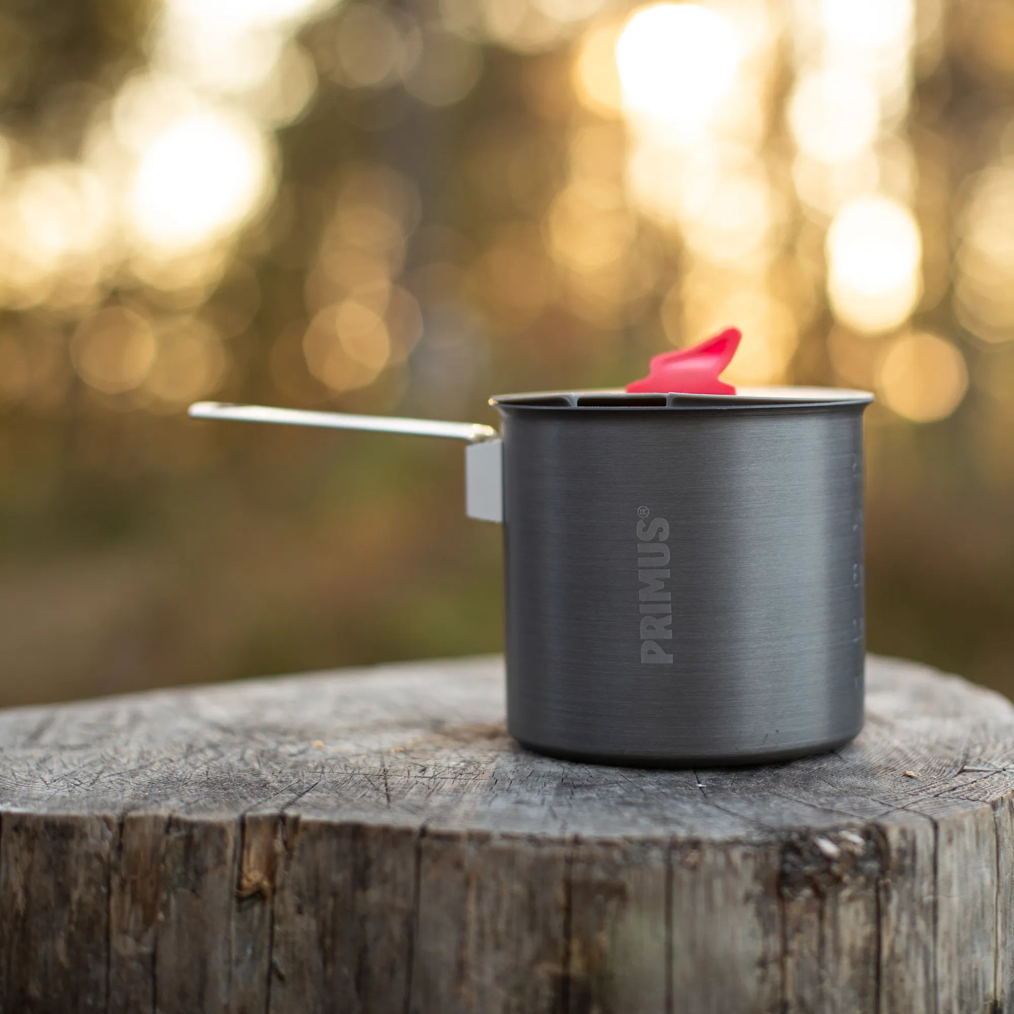 P741400_trek-pot_stina-hjelm_2019-03