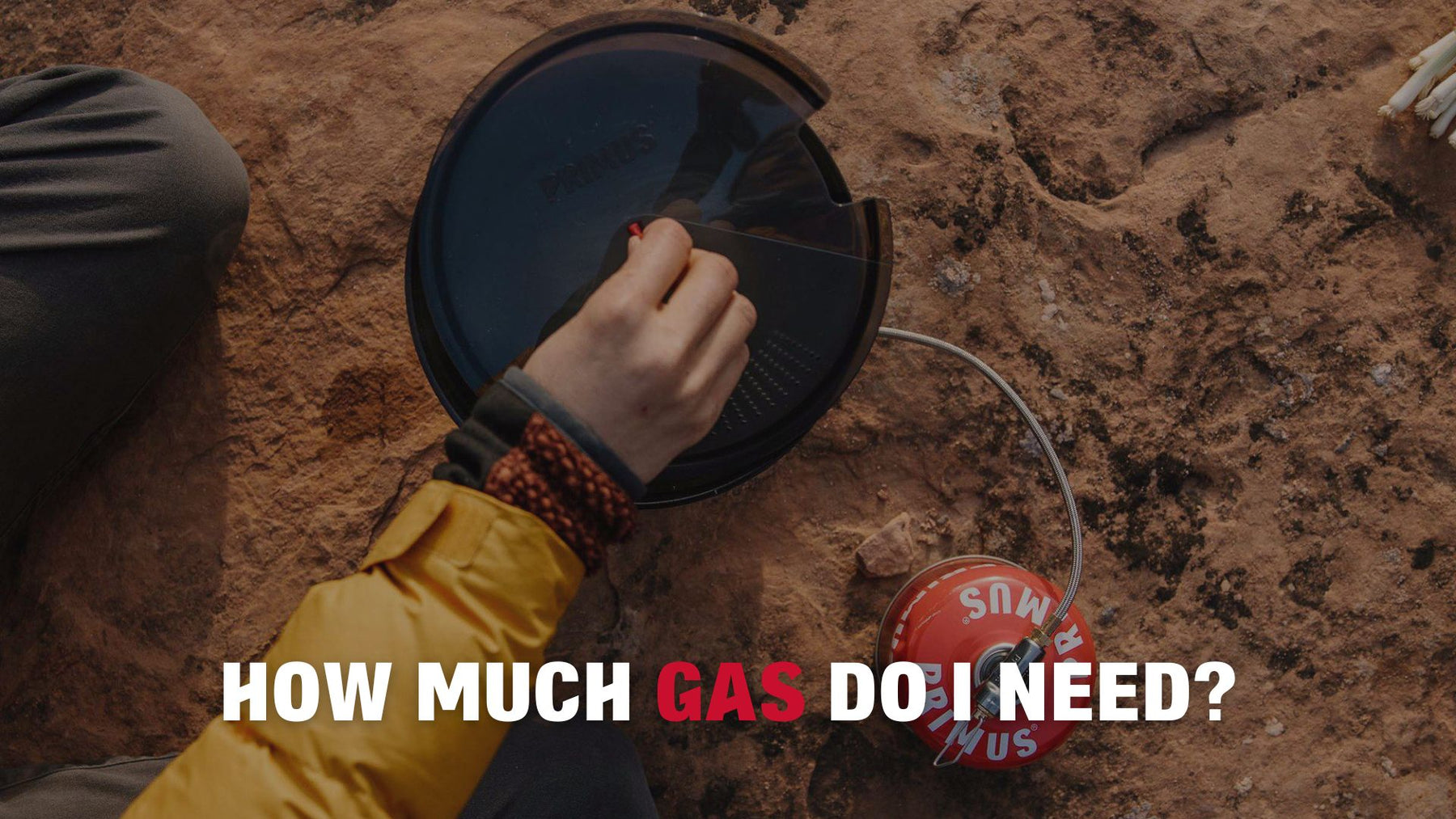 Everything about canister