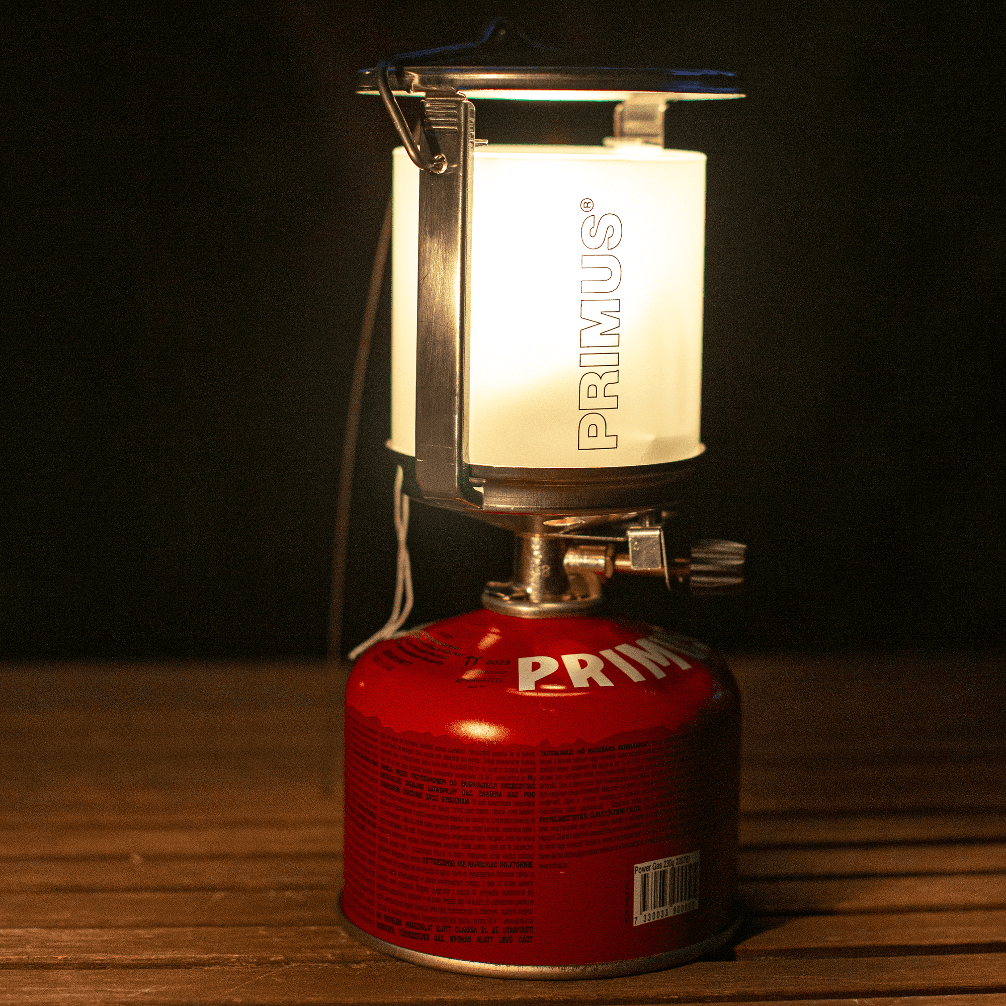 P226993_mimer-lantern_stina-hjelm_2019-01