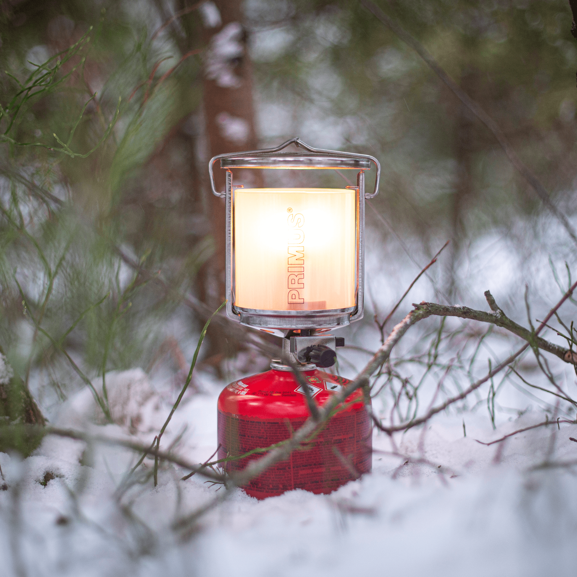 P226993_mimer_lantern_stina-hjelm_2020-12